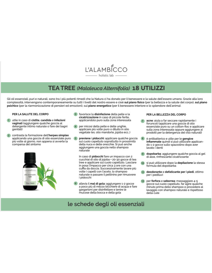 TEA TREE - olio essenziale -